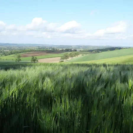 Spacieux Avec Jardin, Terrasse, Wifi Et Accueil Chevaux Pres De Calais-boulogne-saint Omer - Fr-1-376-73