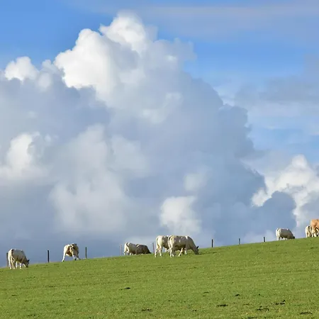 Nyaraló Spacieux Avec Jardin, Terrasse, Wifi Et Accueil Chevaux Pres De Calais-boulogne-saint Omer - Fr-1-376-73